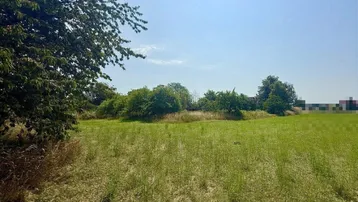 Weitläufiges grünes Feld mit Bäumen am Horizont unter einem klaren, sonnigen blauen Himmel.