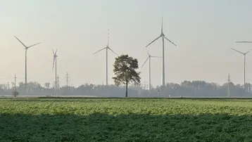 Weitläufige Landschaft mit Windrädern im Hintergrund und einem Feld im Vordergrund unter hellem Himmel.