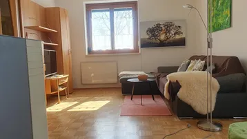 Gemütliches Wohnzimmer mit Parkettboden, Sofa und viel natürlichem Licht.
