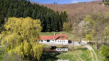 Ländliches Anwesen mit Haus, Teich und umgebendem Waldgebiet aus der Vogelperspektive.