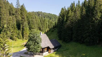 Haus in alpiner Umgebung, umgeben von dichten Wäldern und grünen Hügeln.