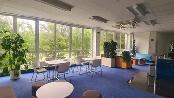 Heller Büroraum mit großen Fenstern, blauem Teppichboden und modernen Sitzgelegenheiten, umgeben von viel Grün.