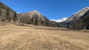 Weite Wiesenlandschaft mit schneebedeckten Bergen im Hintergrund unter klarem blauem Himmel.