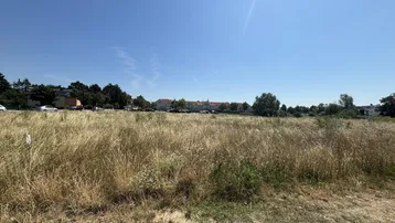 Weitläufiges unbebautes Feld unter blauem Himmel mit Gebäuden und Bäumen im Hintergrund.