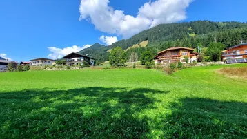 Häuser in einer sonnigen alpinen Landschaft mit grünen Wiesen und bewaldeten Bergen unter blauem Himmel.