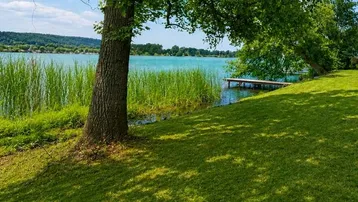 Grüner Rasenbereich am Seeufer mit schattenspendendem Baum und Steg im Hintergrund.