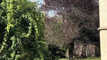 Blick in den grünen Gartenbereich mit Bäumen, einem Schuppen und einem Baugerüst im Hintergrund.