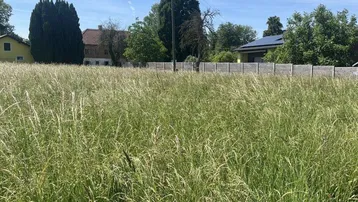Weitläufiges Feld mit hohem Gras und Häusern im Hintergrund unter blauem Himmel.