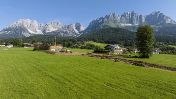 Weitläufige grüne Landschaft mit Häusern, Bäumen und majestätischen Bergen im Hintergrund unter blauem Himmel.