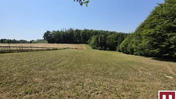 Weite offene Landschaft mit Feldern und Waldrand unter klarem blauem Himmel.