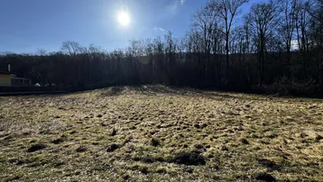 Weitläufiges Grundstück mit Wiesenfläche und angrenzendem Wald unter strahlendem Sonnenschein.