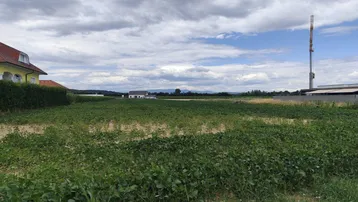 Weitläufiges Feld mit grüner Vegetation und Blick auf umliegende Gebäude unter bewölktem Himmel.