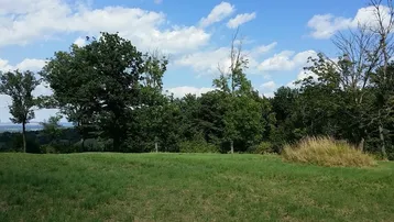 Weite grüne Landschaft mit Bäumen und einem klaren blauen Himmel mit weißen Wolken.