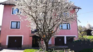 Rosa Hausfassade mit weißen Blütenbäumen im Vorgarten und Garagen im Erdgeschoss.