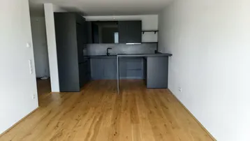 Moderner Küchenbereich mit dunklen Schränken, Holzboden und offener Gestaltung.