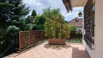 Geräumige Terrasse mit Fliesenboden, umgeben von viel Grün und einem dekorativen Pflanzgefäß.