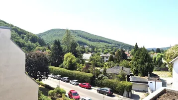 Weitläufiger Blick über eine grüne Hügellandschaft mit Wohnhäusern und einer Straße.