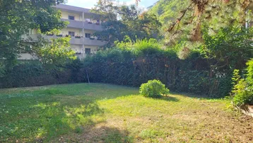 Gepflegte Rasenfläche mit Hecke und Blick auf ein Mehrfamilienhaus, umgeben von Bäumen.