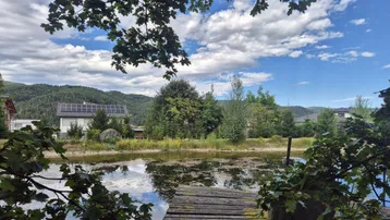 Natürlicher Teich mit Holzsteg und grüner Umgebung unter bewölktem Himmel, Haus mit Solaranlage im Hintergrund.