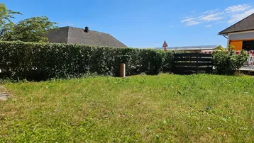 Grüner Gartenbereich mit Rasenfläche und einer hohen Hecke, umgeben von Häusern.