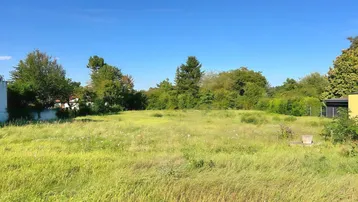 Weitläufiges Grundstück mit grüner Wiese und Bäumen im Hintergrund unter blauem Himmel.
