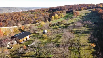 Luftaufnahme eines Anwesens mit einem Haus, einem kleinen Spielhaus und weitläufigen Obstgärten in herbstlicher Landschaft.