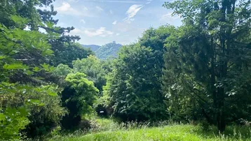 Weitläufige grüne Landschaft mit dichtem Baumbestand und einem Schloss in der Ferne unter blauem Himmel.