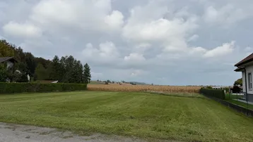 Großes grünes Grundstück mit Rasenfläche, umgeben von Hecken und Feldern unter bewölktem Himmel.