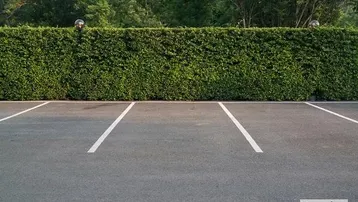 Leerer Parkplatz mit weißen Markierungen, umgeben von einer hohen grünen Hecke und Bäumen.