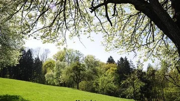 Expose Land-, Forstwirtschafts- und Verkehrsflächen