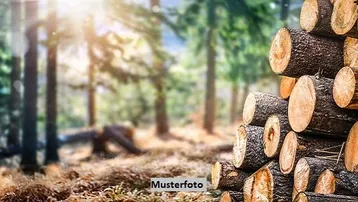 Expose Waldgrundstück