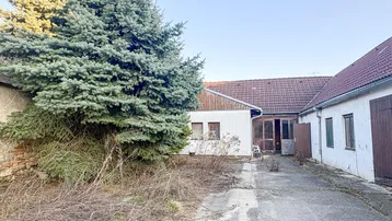 Blick auf den Innenhof eines älteren Gebäudes mit einem großen Nadelbaum und ungenutzter Fläche.
