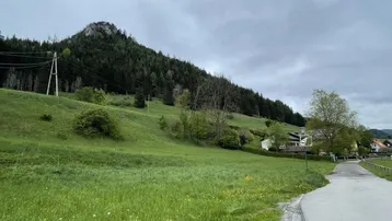 Weitläufige grüne Landschaft mit bewaldeten Hügeln und einem felsigen Gipfel unter bewölktem Himmel.