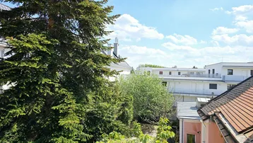 Blick von oben auf grüne Bäume und umliegende Gebäude unter blauem Himmel.