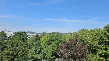 Panoramablick über eine grüne Landschaft mit Bäumen und Gebäuden in der Ferne unter blauem Himmel.
