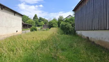 Überwachsenes Gartengrundstück zwischen zwei Gebäuden mit viel Grün und Baumbestand unter blauem Himmel.