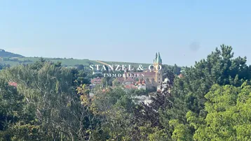 Panoramablick über grüne Baumwipfel auf eine historische Stadt mit Weinbergen im Hintergrund.