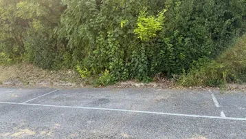 Gepflasterter Bereich mit Parkplatzmarkierungen und dichter Vegetation im Hintergrund unter hellem Himmel.