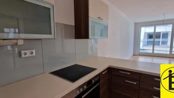 Moderne Küche mit Induktionskochfeld und Blick auf den hellen Wohnbereich mit Balkonzugang.
