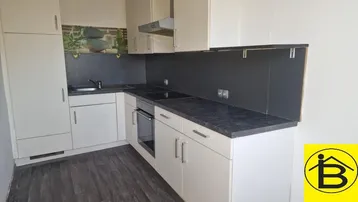 Moderne Einbauküche mit hellen Schränken, dunkler Arbeitsplatte und integrierten Geräten.