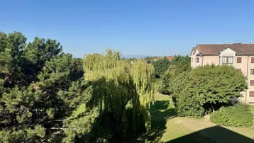 Blick auf eine grüne Parkanlage mit Bäumen und einem Wohngebäude im Hintergrund unter blauem Himmel.