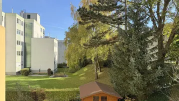 Blick auf den gepflegten Gemeinschaftsgarten mit Gartenhaus und angrenzenden Wohngebäuden.