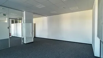 Geräumiges, leeres Büro mit Teppichboden und Glaswänden, bereit für die individuelle Gestaltung.