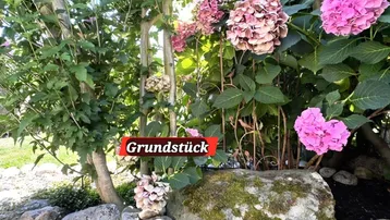 Gepflegter Gartenbereich mit blühenden Hortensien, dekorativen Steinen und Kiesweg unter natürlichem Licht.