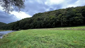 Weite grüne Wiese am Flussufer mit dichtem Wald im Hintergrund unter bewölktem Himmel.