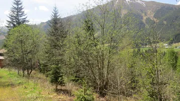 Berglandschaft mit Bäumen und einem schneebedeckten Gipfel im Hintergrund, umgeben von üppiger Natur.