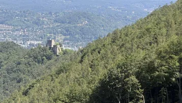 Weitläufiger Blick über bewaldete Hügel, eine Stadt und eine historische Burgruine in der Ferne.