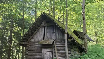 Alte rustikale Holzhütte im Wald, umgeben von üppigem Grün und hohen Bäumen, mit moosbewachsenem Dach.