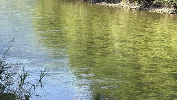 Flusslandschaft mit klarem Wasser, umgeben von üppigen grünen Bäumen und Bergen im Hintergrund.