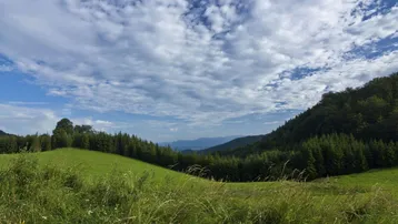 Weite grüne Hügellandschaft mit Wäldern und Bergen im Hintergrund unter einem bewölkten Himmel.